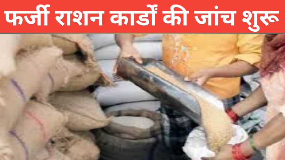 फ्री राशन योजना: अब मोबाइल नंबर से जुड़ेगा राशनकार्ड, फर्जी कार्ड होंगे निरस्त; सरकार ला रही नया नियम
