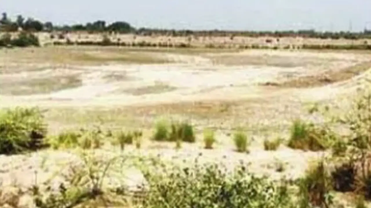 झील में उड़ती धूल, Lake In Fatehpur; courtesy- Samvad