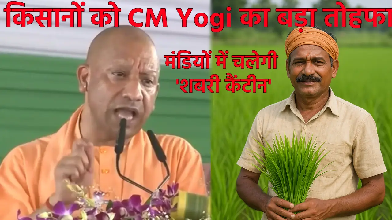 Shabari Canteen In Mandi: मंडियों में चलेगी 'शबरी कैंटीन' (Source; openai)