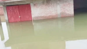 Fatehpur flood 2025; मदारपुर गांव में भरा पानी। (Source- Social media)
