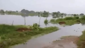Fatehpur flood 2025 (Source- Social media)