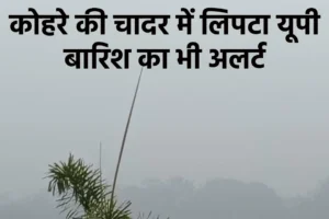 UP Weather News, (Source; Batkahi)